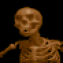 Skeleton
